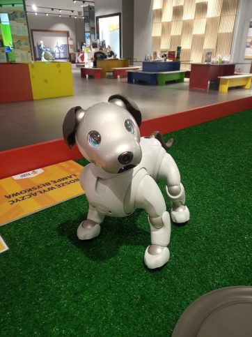 Obudź się, roboty przybyły do Warszawy !