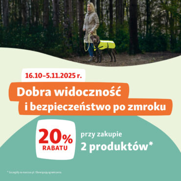 Świeć przykładem! Bezpieczne spacery z pupilem po zmroku