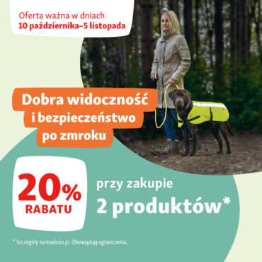 Gdy dni stają się krótsze, a spacery bardziej nastrojowe… ð