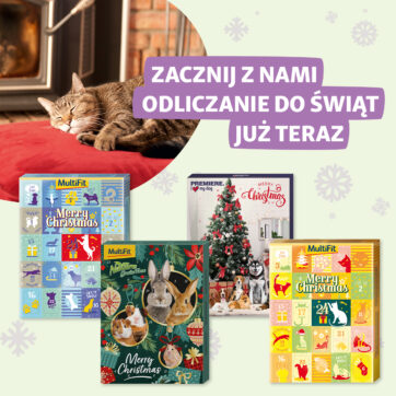 Święta coraz bliżej! ð