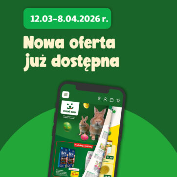 Świeża dostawa wykwintnych promocji dla Twojego pupila już jest! ð¶ð¸ð­